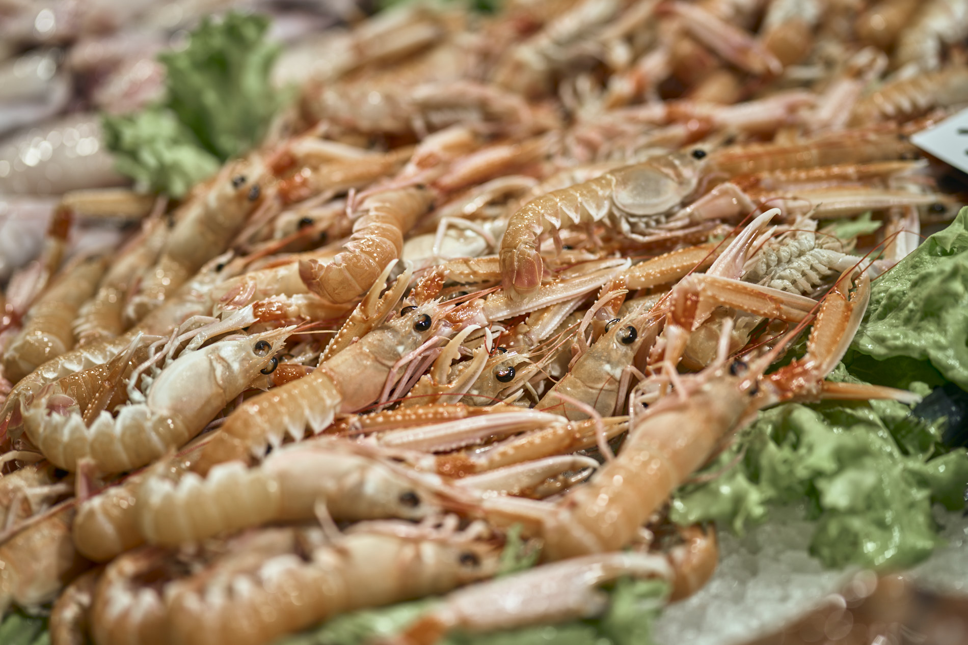 rohd-studio_food-photography_lorenzo-cogo_-dama-restaurantq-28