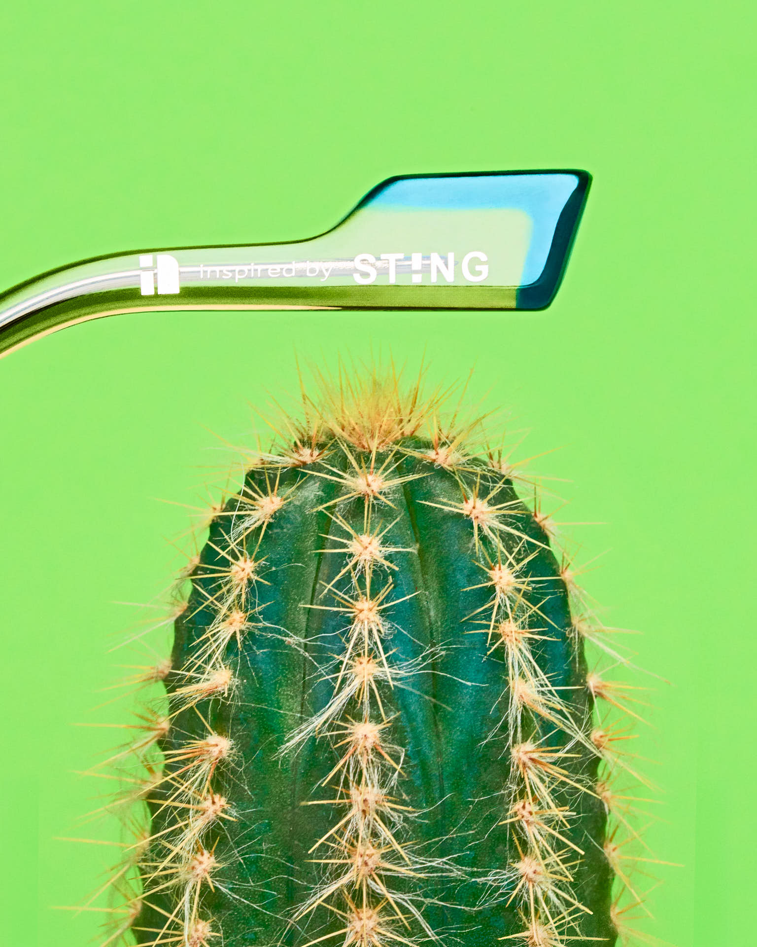 sting-eyewear-ss25-campagna-social-rohd-studio-16 sting-eyewear-ss25-campagna-social-rohd-studio-16